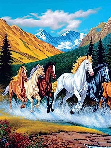 Bimkole DIY 5D Diamond Painting Zubehör Laufendes Pferd, Tier Diamant Malerei Kit Voll Runde Bohrer Malen nach Zahlen Malerei Stickerei Kreuzstich Diamond Dekoration 30X40 cm Bimkole DIY 5D Diamond Painting Zubehör Laufendes Pferd, Tier Diamant Malerei Kit Voll Runde Bohrer Malen nach Zahlen Malerei Stickerei Kreuzstich Diamond Dekoration 30X40 cm von Bimkole