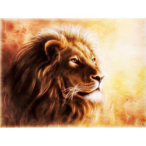 Bimkole DIY 5D Diamond Painting Zubehör Löwe, Tiere Kunstmalerei Diamant Malerei Kit Voll Runde Bohrer Malen nach Zahlen Malerei Stickerei Kreuzstich Diamond Dekoration,(30x40 cm) von Bimkole