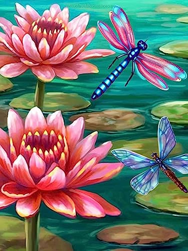 Bimkole DIY 5D Diamond Painting Zubehör Lotus, Libelle Diamant Malerei Kit Voll Runde Bohrer Malen nach Zahlen Malerei Stickerei Kreuzstich Diamond Dekoration 30X40 cm von Bimkole