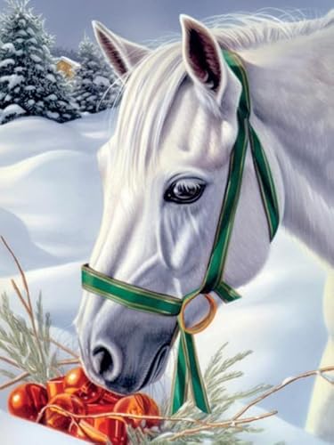 Bimkole DIY 5D Diamond Painting Zubehör Pferd, Tierischer Schnee Diamant Malerei Kit Voll Runde Bohrer Malen nach Zahlen Malerei Stickerei Kreuzstich Diamond Dekoration 30X40 cm Bimkole DIY 5D Diamond Painting Zubehör Pferd, Tierischer Schnee Diamant Malerei Kit Voll Runde Bohrer Malen nach Zahlen Malerei Stickerei Kreuzstich Diamond Dekoration 30X40 cm von Bimkole