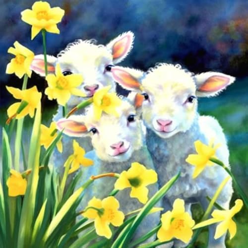 Bimkole DIY 5D Diamond Painting Zubehör Schaf, Blume Tiere Diamant Malerei Kit Voll Runde Bohrer Malen nach Zahlen Malerei Stickerei Kreuzstich Diamond Dekoration 30X30 cm Bimkole DIY 5D Diamond Painting Zubehör Schaf, Blume Tiere Diamant Malerei Kit Voll Runde Bohrer Malen nach Zahlen Malerei Stickerei Kreuzstich Diamond Dekoration 30X30 cm von Bimkole