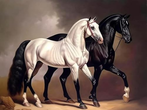 Bimkole DIY 5D Diamond Painting Zubehör Schwarzes und Weißes Pferd, Tiere Diamant Malerei Kit Voll Runde Bohrer Malen nach Zahlen Malerei Stickerei Kreuzstich Diamond Dekoration 30X40 cm Bimkole DIY 5D Diamond Painting Zubehör Schwarzes und Weißes Pferd, Tiere Diamant Malerei Kit Voll Runde Bohrer Malen nach Zahlen Malerei Stickerei Kreuzstich Diamond Dekoration 30X40 cm von Bimkole