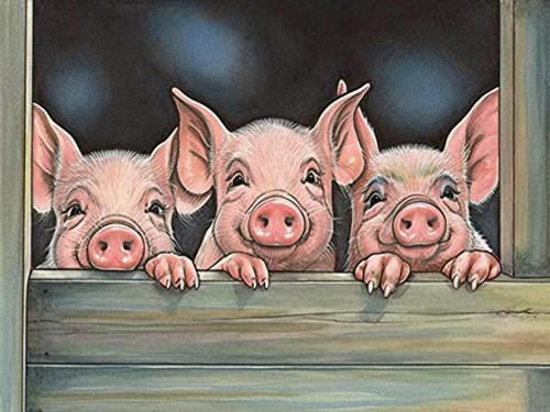 Bimkole DIY 5D Diamond Painting Zubehör Schwein, Tier Diamant Malerei Kit Voll Runde Bohrer Malen nach Zahlen Malerei Stickerei Kreuzstich Diamond Dekoration 30X40 cm Bimkole DIY 5D Diamond Painting Zubehör Schwein, Tier Diamant Malerei Kit Voll Runde Bohrer Malen nach Zahlen Malerei Stickerei Kreuzstich Diamond Dekoration 30X40 cm von Bimkole