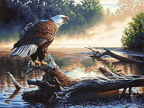 Bimkole DIY 5D Diamond Painting Zubehör Seeadler, Tiere Diamant Malerei Kit Voll Runde Bohrer Malen nach Zahlen Malerei Stickerei Kreuzstich Diamond Dekoration 30X40 cm Bimkole DIY 5D Diamond Painting Zubehör Seeadler, Tiere Diamant Malerei Kit Voll Runde Bohrer Malen nach Zahlen Malerei Stickerei Kreuzstich Diamond Dekoration 30X40 cm von Bimkole