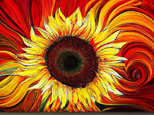 Bimkole DIY 5D Diamond Painting Zubehör Sonnenblume, Pflanze abstrakte Malerei Diamant Malerei Kit Voll Runde Bohrer Malen nach Zahlen Malerei Stickerei Kreuzstich Diamond Dekoration, (30x40 cm) von Bimkole