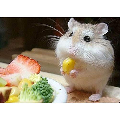 Bimkole DIY 5D Diamond Painting Zubehör Süßer Hamster, Tier Diamant Malerei Kit Voll Runde Bohrer Malen nach Zahlen Malerei Stickerei Kreuzstich Diamond Dekoration(30x40 cm) von Bimkole