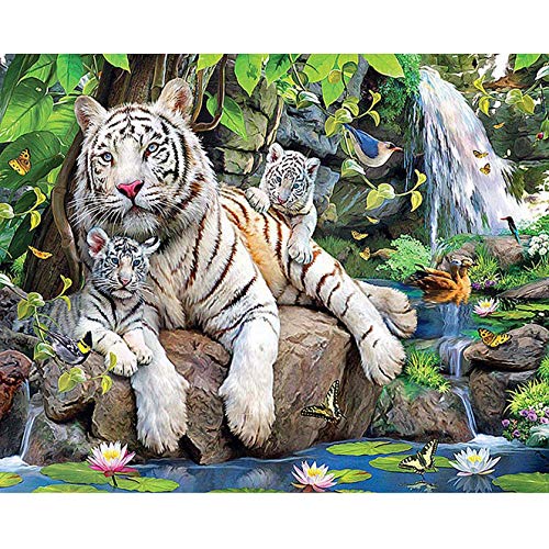 Bimkole DIY 5D Diamond Painting Zubehör Tiger Flussufer, Steinschmetterling Diamant Malerei Kit Voll Runde Bohrer Malen nach Zahlen Malerei Stickerei Kreuzstich Diamond Dekoration, (30x40 cm) von Bimkole