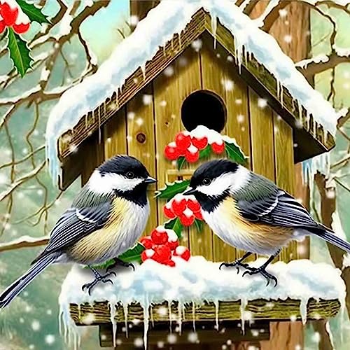 Bimkole DIY 5D Diamond Painting Zubehör Vogelnest Winter, Tier Diamant Malerei Kit Voll Runde Bohrer Malen nach Zahlen Malerei Stickerei Kreuzstich Diamond Dekoration 30X30 cm von Bimkole