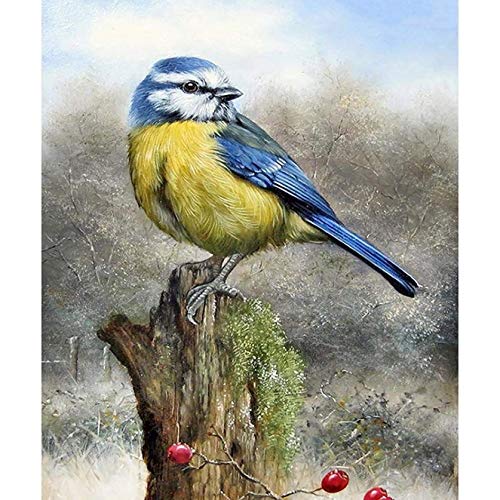 Bimkole DIY 5D Diamond Painting Zubehör Vogelstumpf, Tier Diamant Malerei Kit Voll Runde Bohrer Malen nach Zahlen Malerei Stickerei Kreuzstich Diamond Dekoration, (30x40 cm) von Bimkole