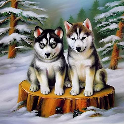 Bimkole DIY 5D Diamond Painting Zubehör Winterhund, Tier Diamant Malerei Kit Voll Runde Bohrer Malen nach Zahlen Malerei Stickerei Kreuzstich Diamond Dekoration 30X30 cm von Bimkole