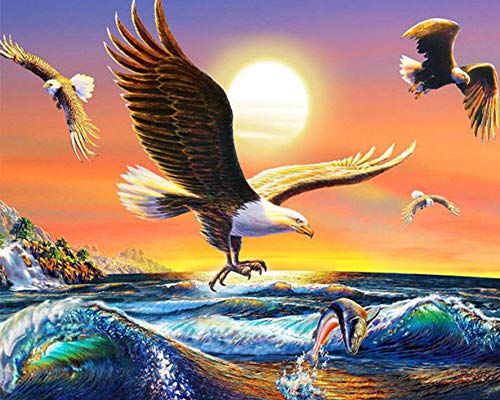 Bimkole DIY Paint by Numbers Kit Adler Sonnenuntergang Meer Malen Nach Zahlen Erwachsene, Acrylfarbe Anfänger Zeichnen Malen Mit Pinseln Mauer Für Home Office Wandkunst Dekor 40 * 50 cm von Bimkole
