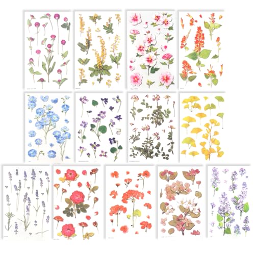 14 Blatt Blumen Scrapbook Stickers, PVC Wasserfester Blumen Pflanzen Aufkleber, Selbstklebend Bunte Sticker Aesthetic, Flower Stickers für Scrapbook Fotoalbum Karten Laptops Handwerk 14 Blatt Blumen Scrapbook Stickers, PVC Wasserfester Blumen Pflanzen Aufkleber, Selbstklebend Bunte Sticker Aesthetic, Flower Stickers für Scrapbook Fotoalbum Karten Laptops Handwerk von Binlava