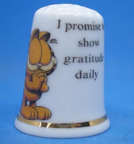 Birchcroft Fingerhut aus Porzellan, Sammlerstück, Dankbarkeit, mit Displaybox von Birchcroft China