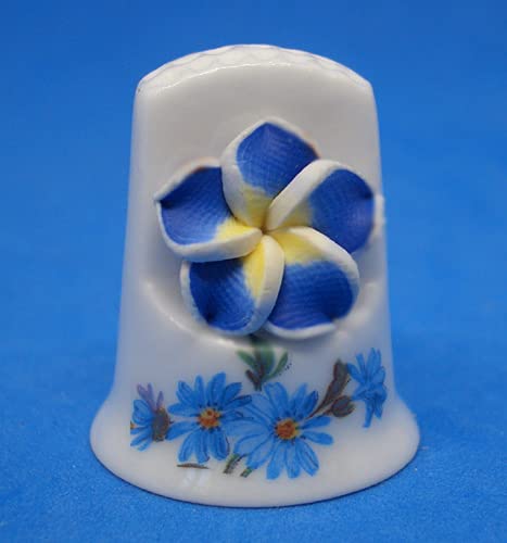 Birchcroft Porzellan-Fingerhut zum Sammeln – Cameo Vergissmeinnicht Birchcroft Porzellan-Fingerhut zum Sammeln – Cameo Vergissmeinnicht von Birchcroft China