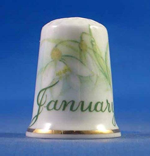 Porzellan China zum Sammeln Fingerhut Blume des Monats Januar Porzellan China zum Sammeln Fingerhut Blume des Monats Januar von Birchcroft China