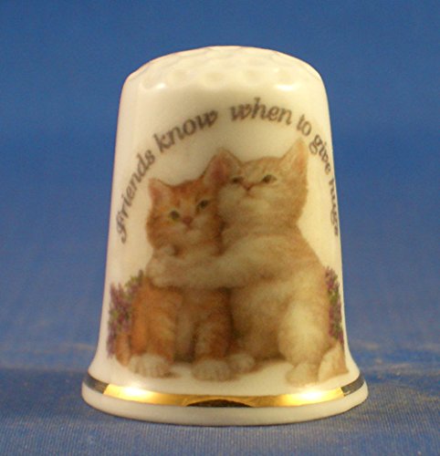 birchcroft Porzellan China zum Sammeln Fingerhut –-Friends Wissen, Wann Hug von Birchcroft China