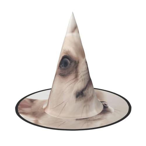 Bkdogkt Niedlicher Chihuahua-Druck für Erwachsene, Hexenhut, Karneval, Halloween, Party, Maskerade, Cosplay, Urlaubsdekoration Bkdogkt Niedlicher Chihuahua-Druck für Erwachsene, Hexenhut, Karneval, Halloween, Party, Maskerade, Cosplay, Urlaubsdekoration von Bkdogkt