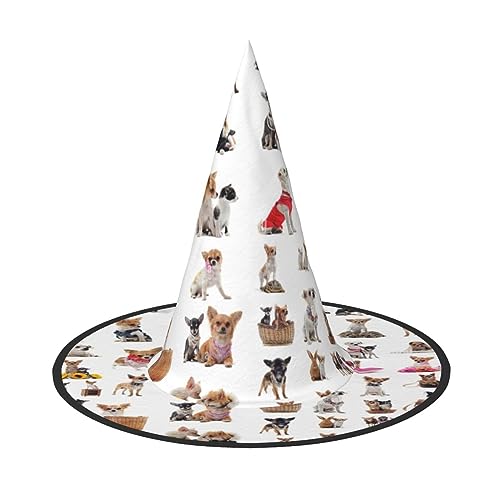 Bkdogkt Niedlicher Chihuahua-Mopsmuster, Druck, Hexenhut, für Erwachsene, Karneval, Halloween, Party, Maskerade, Cosplay, Urlaubsdekoration von Bkdogkt