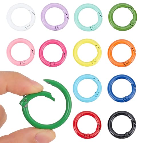 Bkemkri 12 Stück Mini Karabinerhaken, Schlüsselanhänger, Runder Karabinerhaken, O-Ringe Karabiner Clips Schnallen Federring, für Bastelarbeiten DIY Taschenringe Schlüssel Taschenzubehör, 2,4 cm Bkemkri 12 Stück Mini Karabinerhaken, Schlüsselanhänger, Runder Karabinerhaken, O-Ringe Karabiner Clips Schnallen Federring, für Bastelarbeiten DIY Taschenringe Schlüssel Taschenzubehör, 2,4 cm von Bkemkri