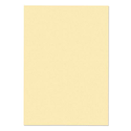 Blake Premium Business 51677 Papier Vellum Wove A4 297 x 210 mm 120 g/m² | 500 Stück von Blake