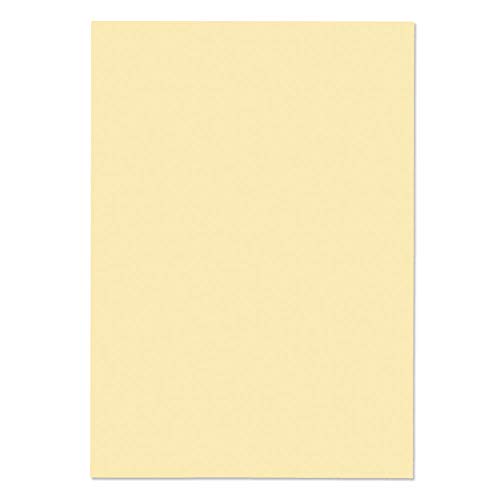 Blake Premium Business 95676 Papier Vellum Laid A4 297 x 210 mm 120 g/m² | 50 Stück von Blake