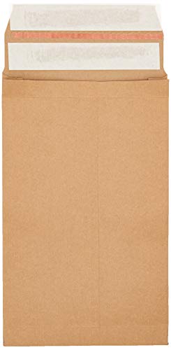 Vita 100 Stück Versandtaschen aus Kraftpapier mit Dehnfalte 50 mm, 300 x 200 mm (KBB140) von Blake