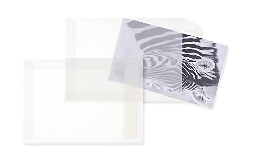 100 Stück, Transparent-Versandtaschen, DIN C6, Haftklebung, Gerade Klappe, 90 g/qm Offset, Ohne Fenster, Weiß (Transparent-Weiß), Blanke Briefhüllen von Blanke Briefhüllen