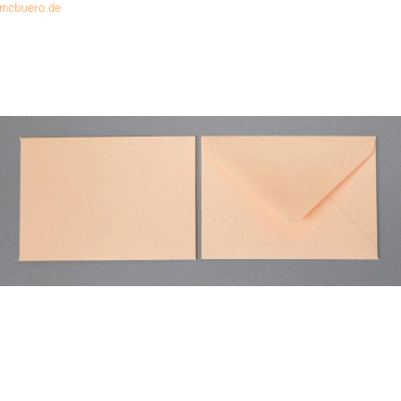 Blanke Briefumschläge 90x140mm 120g/qm gummiert VE=100 Stück koralle Blanke Briefumschläge 90x140mm 120g/qm gummiert VE=100 Stück koralle von Blanke