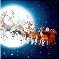 Serviette "Lunar Xmas" Serviette "Lunar Xmas" von Paper+Design