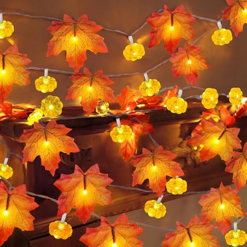BlauHaus Herbstdeko Lichterkette, Herbstliche Kürbis-Ahornblatt-Lichterkette, 6M 40 LED Licht, Ip44 Wetterfest, FüR Ihre Herbstlichen Feiern Und Dekorationen von BlauHaus