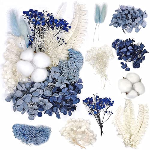 1 Packung Natürliche getrocknte Blumen,Gemischte Getrocknete Blumen und Blätter Set Bunt Trockenblumen zum Basteln für DIY Epoxidharz Kerze Scrapbooking Schmuck Nägel,Schwarz-Blau C von Blausky