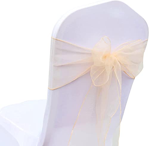 Blausky 25 Stück Universal Stuhlschärpen,18x275cm Organza Stuhlschleife Schleifenband Stuhlbänder Stuhl Dekorative Schleife Stuhl Schärpen für Hochzeit Party Zeremonie Feiern Bankett,Champagner Blausky 25 Stück Universal Stuhlschärpen,18x275cm Organza Stuhlschleife Schleifenband Stuhlbänder Stuhl Dekorative Schleife Stuhl Schärpen für Hochzeit Party Zeremonie Feiern Bankett,Champagner von Blausky