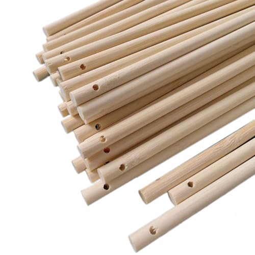 Blausky 30 Stück Natürlicher Bambusstäbe,Rundhölzer mit Loch Holzstäbchen zum Basteln Bastelstäbe Rundstab aus Massiv-Holz Bastelholz Holzbau-Stöcke für DIY Arts Craft Modellbau,6mmx50cm von Blausky