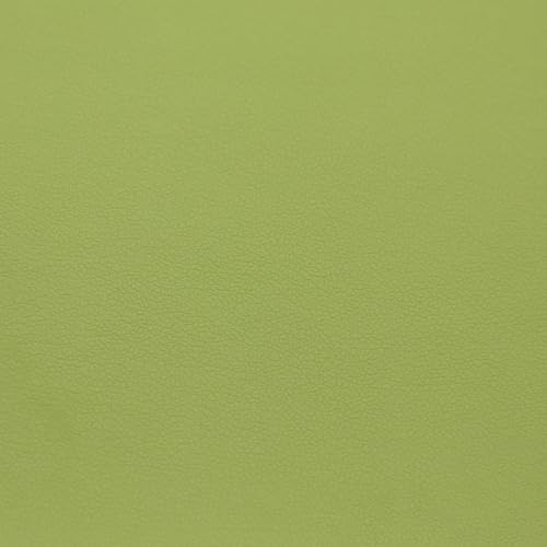 Blausky 50x140cm Kunstleder Stoff,Gekörnt Lederimitat Texturiert Lederstoff Leder Patch aus PU-Leder Lederstoff Leder Stoff zum Nähen Reparieren Bezugsstoff für DIY Autositze Sofakissen,Grün A von Blausky