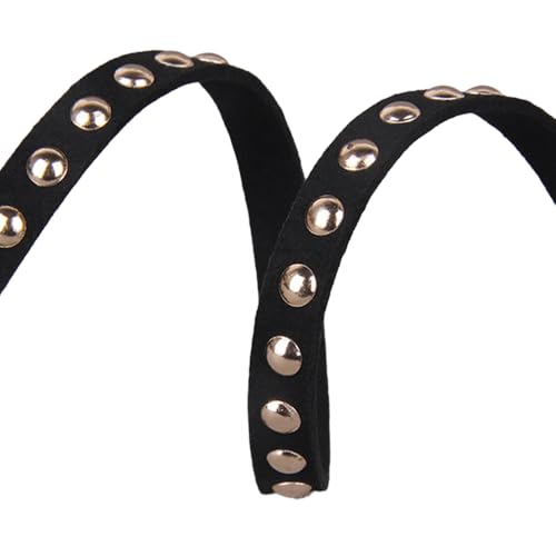 Blausky 8mm x 1m Lederband Flach,Lederstreifen Lederriemen mit Nieten Lederbänder Ketten Lederschnur zum Basteln für DIY Schmuck Armbänder Choker Halsketten und Haustier Halsband,Kreis D Gold von Blausky
