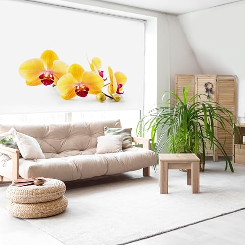Blindecor Digital | Rollo transparent Bedruckt | Familie Zen| Modell Z-Yellow | 150 x 180 cm (Breite x Höhe) | Stoffgröße 146 x 175 cm | Fensterrollos von Blindecor