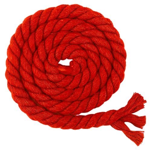 Makramee Garn Kordelband Baumwollkordel 8/10/12/20mm X 10m Baumwollseil Dicke Rope Garn Baumwollgarn, Geflochten Für DIY Handwerk, Basteln, Makramee Wandbehang, Vorhang (F,8mm*10m) von BlissFabrics