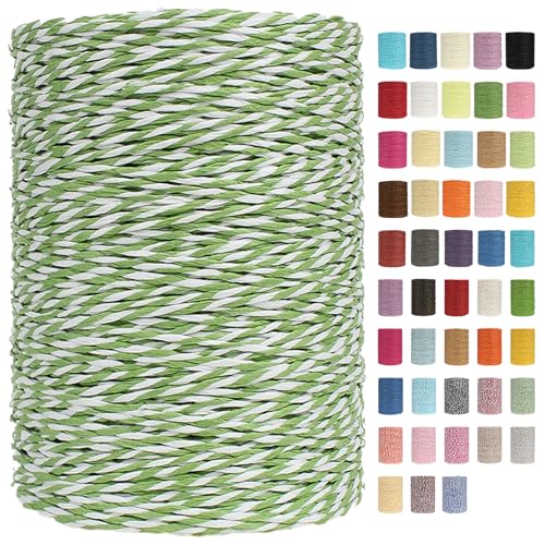 Raffia Garn Zum Häkeln Papiergarn Bast 2mm X 300m Geflochten Raffia Papierdraht, Weiches Geflochtenes Bastband Natur, Strickgarn Bast Zum Häkeltaschen, Körbe, Hüte Handarbeiten (Grün/Weiß,2mm) von BlissFabrics