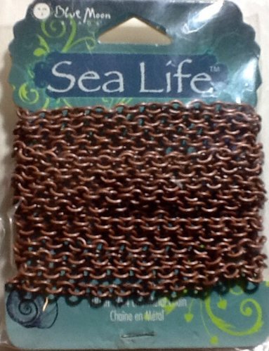 Blue Moon Beads Sealife Kette 100 Metall B Ox Messing Blue Moon Beads Sealife Kette 100 Metall B Ox Messing von Blue Moon Beads