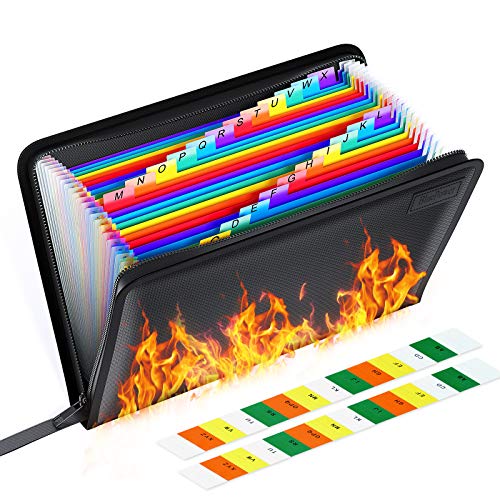 ThinkTex Feuerfeste Dokumentenmappe 24 Fächern, A4 Ordner Wasserfest Dokumententasche, Fächermappe mit Reißverschluss, Akten-Organizer, Tragbare Aktentasche für wichtige Dokumente, Akte von ThinkTex