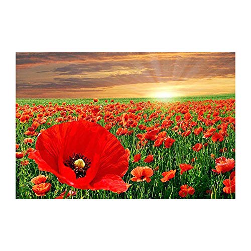 Bluehurric Kreuzstich Stickerei Set Vorgedruckt erwachsene anfanger Mohnblumen Kreuzstich für Anself DIY Starter Stickbild Handwerk11CT Geschenk Heimdekoration(16×20inch Bluehurric Kreuzstich Stickerei Set Vorgedruckt erwachsene anfanger Mohnblumen Kreuzstich für Anself DIY Starter Stickbild Handwerk11CT Geschenk Heimdekoration(16×20inch von Bluehurric
