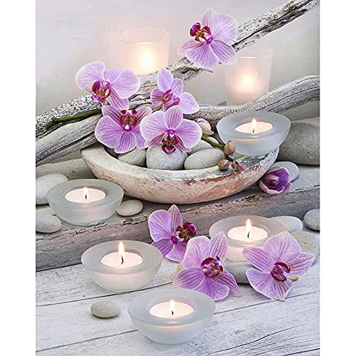 Bluehurric Kreuzstich Stickerei Set Vorgedruckt erwachsene anfanger Orchidee Kreuzstich für Anself DIY Starter Stickbild Handwerk11CT Geschenk Heimdekoration(16×20inch Bluehurric Kreuzstich Stickerei Set Vorgedruckt erwachsene anfanger Orchidee Kreuzstich für Anself DIY Starter Stickbild Handwerk11CT Geschenk Heimdekoration(16×20inch von Bluehurric