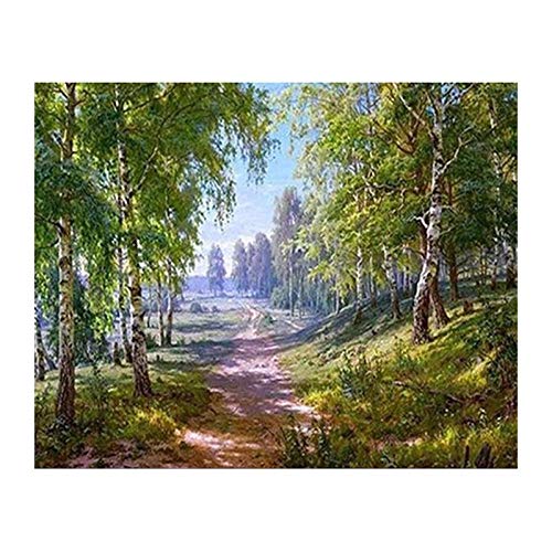 Stickpackungen Kreuzstich Set Vorgedruckt erwachsene anfanger Waldweg Kreuzstich Stickerei Starter Set DIY Stickbild Handwerk 11CT Geschenk Heimdekoration(16×20inch) Stickpackungen Kreuzstich Set Vorgedruckt erwachsene anfanger Waldweg Kreuzstich Stickerei Starter Set DIY Stickbild Handwerk 11CT Geschenk Heimdekoration(16×20inch) von Bluehurric