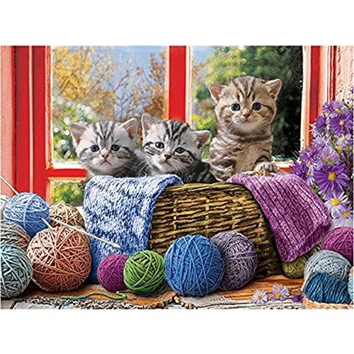 kreuzstich set Vorgedruckt erwachsene anfanger Katzenzeichnung schräg Stickpackungen Kreuzstich DIY Starter Stickbild Handwerk 11CT Geschenk Heimdekoration(16×20inch) kreuzstich set Vorgedruckt erwachsene anfanger Katzenzeichnung schräg Stickpackungen Kreuzstich DIY Starter Stickbild Handwerk 11CT Geschenk Heimdekoration(16×20inch) von Bluehurric