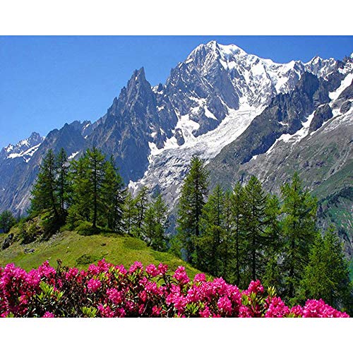 Bluehurric kreuzstich set Vorgedruckt erwachsene anfanger Landschaft, landschaftlich reizvoll, Berge Stickpackungen Kreuzstich DIY Starter Stickbild Handwerk 11CT Geschenk Heimdekoration(16×20inch Bluehurric kreuzstich set Vorgedruckt erwachsene anfanger Landschaft, landschaftlich reizvoll, Berge Stickpackungen Kreuzstich DIY Starter Stickbild Handwerk 11CT Geschenk Heimdekoration(16×20inch von Bluehurric