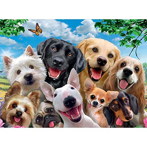 Bluehurric Kreuzstich Stickerei Set Vorgedruckt erwachsene anfanger Hund Tier Kreuzstich für Anself DIY Starter Stickbild Handwerk11CT Geschenk Heimdekoration(16×20inch von Bluehurric