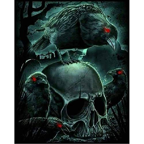 Bluehurric kreuzstich set Vorgedruckt erwachsene anfanger Krähe und Schädel Stickpackungen Kreuzstich DIY Starter Stickbild Handwerk 11CT Geschenk Heimdekoration(16×20inch von Bluehurric