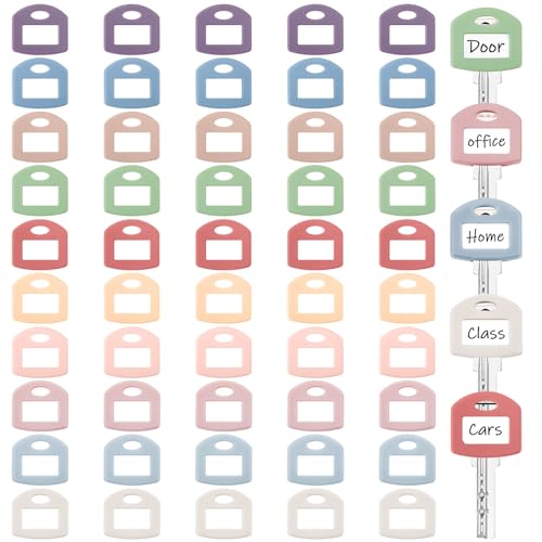 Blulu Farbige Schlüsselabdeckungen, 2,5 cm, mit weißen Karton-Etiketten und transparentem Kunststoffblatt für Hausklassifizierung, verschiedene Morandi-Farben, quadratisch, 50 Stück von Blulu