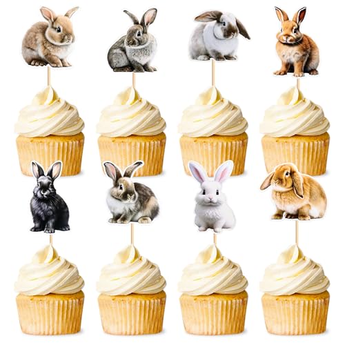 Blumomon 32 Stück Kaninchen-Cupcake-Topper, Kaninchen, Kuchendekoration, Picks für Kaninchen, Babyparty, Kindergeburtstag, Party, Kuchendekorationen, Hase von Blumomon