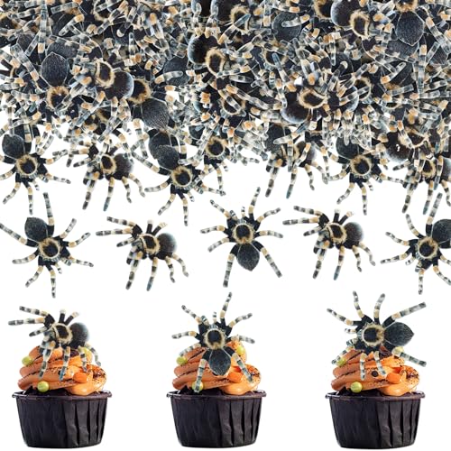 Blumomon 40 Stück Essbare Kuchen Dekoration Spinnen Cupcake Topper Spinnen Tortenaufsatz Kuchen Kindergeburtstag Party Dekoration Halloween Party Dekoration Blumomon 40 Stück Essbare Kuchen Dekoration Spinnen Cupcake Topper Spinnen Tortenaufsatz Kuchen Kindergeburtstag Party Dekoration Halloween Party Dekoration von Blumomon